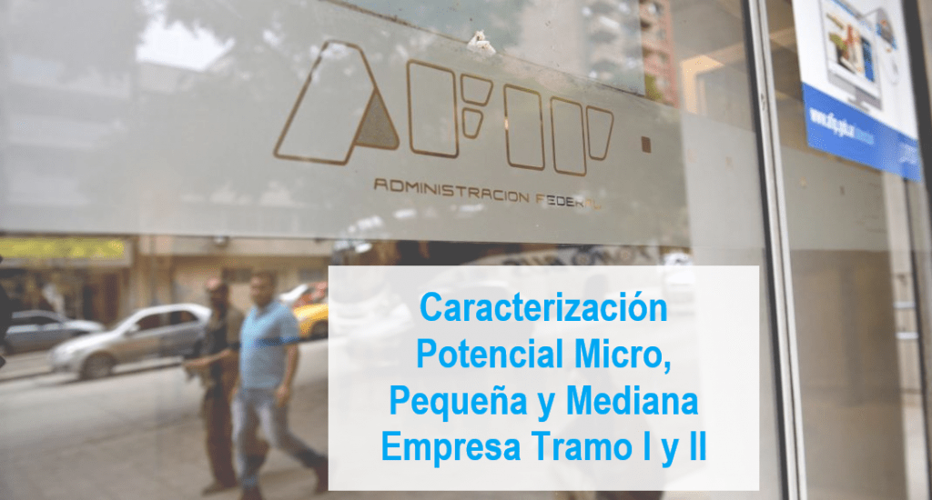 caracterizacion potencial mypime