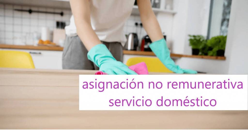 resolucion cntcp bono servicio domestico