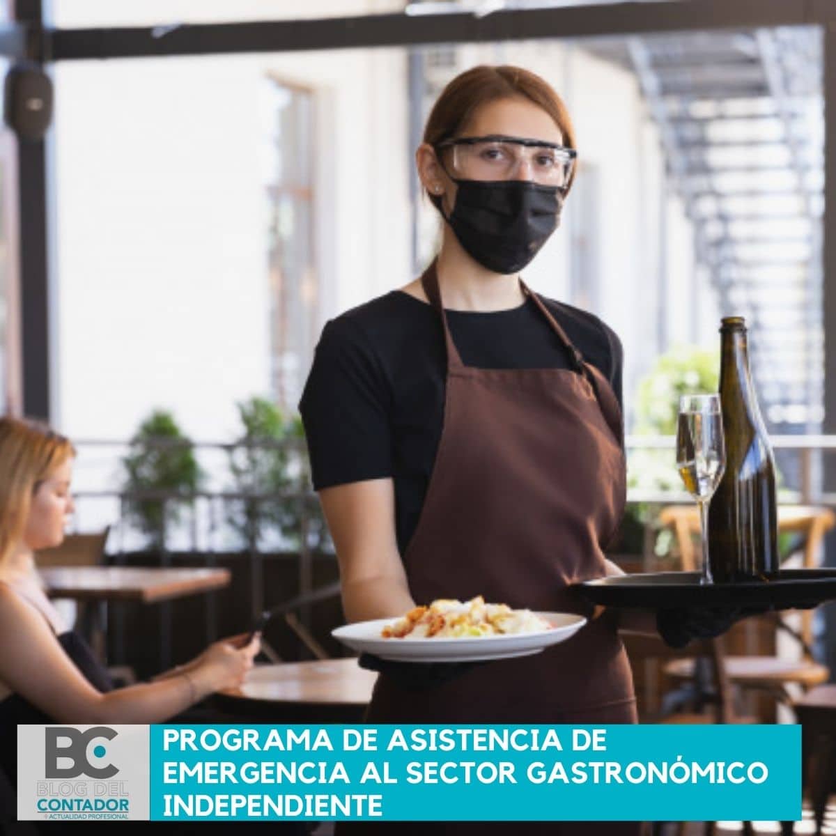 Programa de Asistencia de Emergencia al Sector Gastronómico Independiente