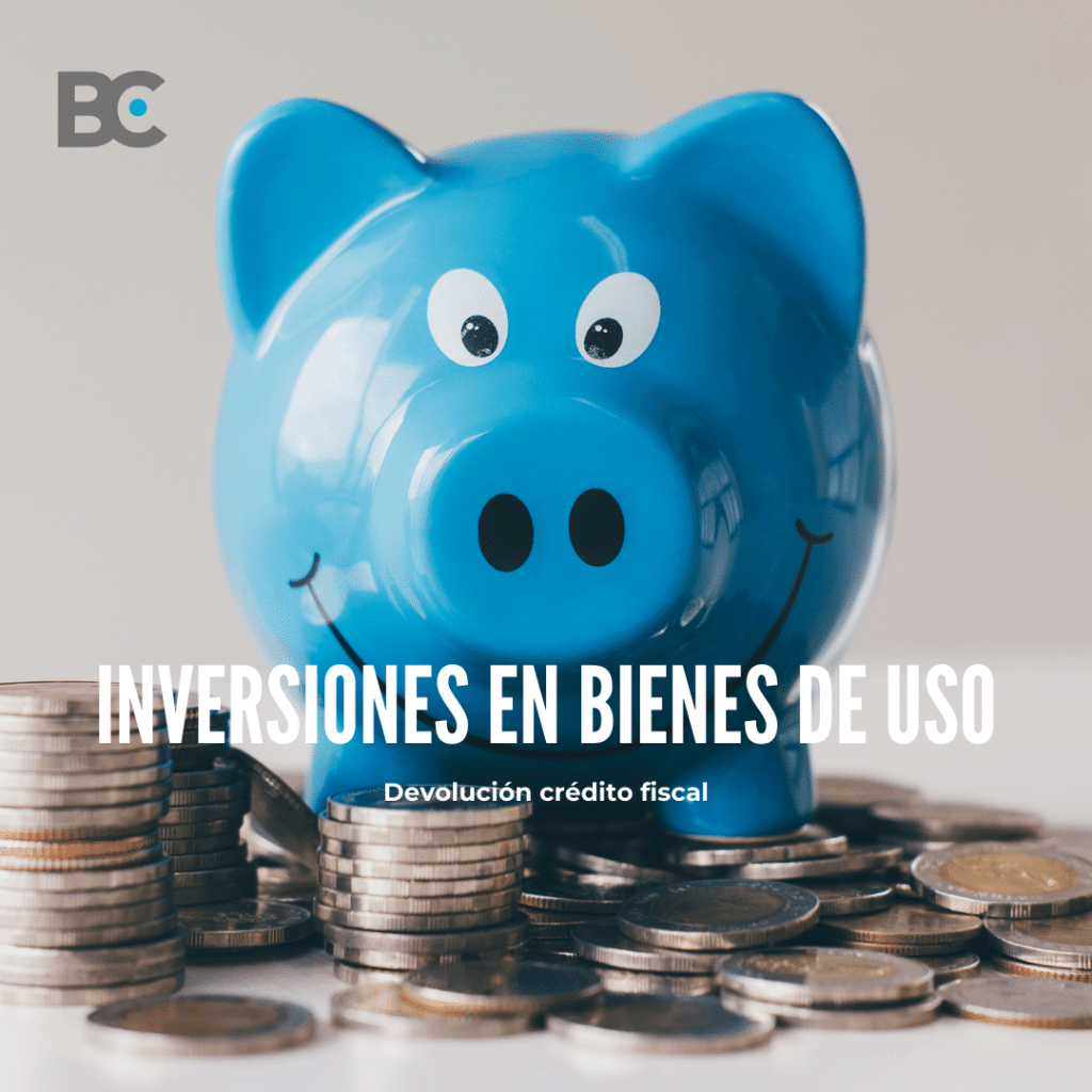 inversiones en bienes de uso