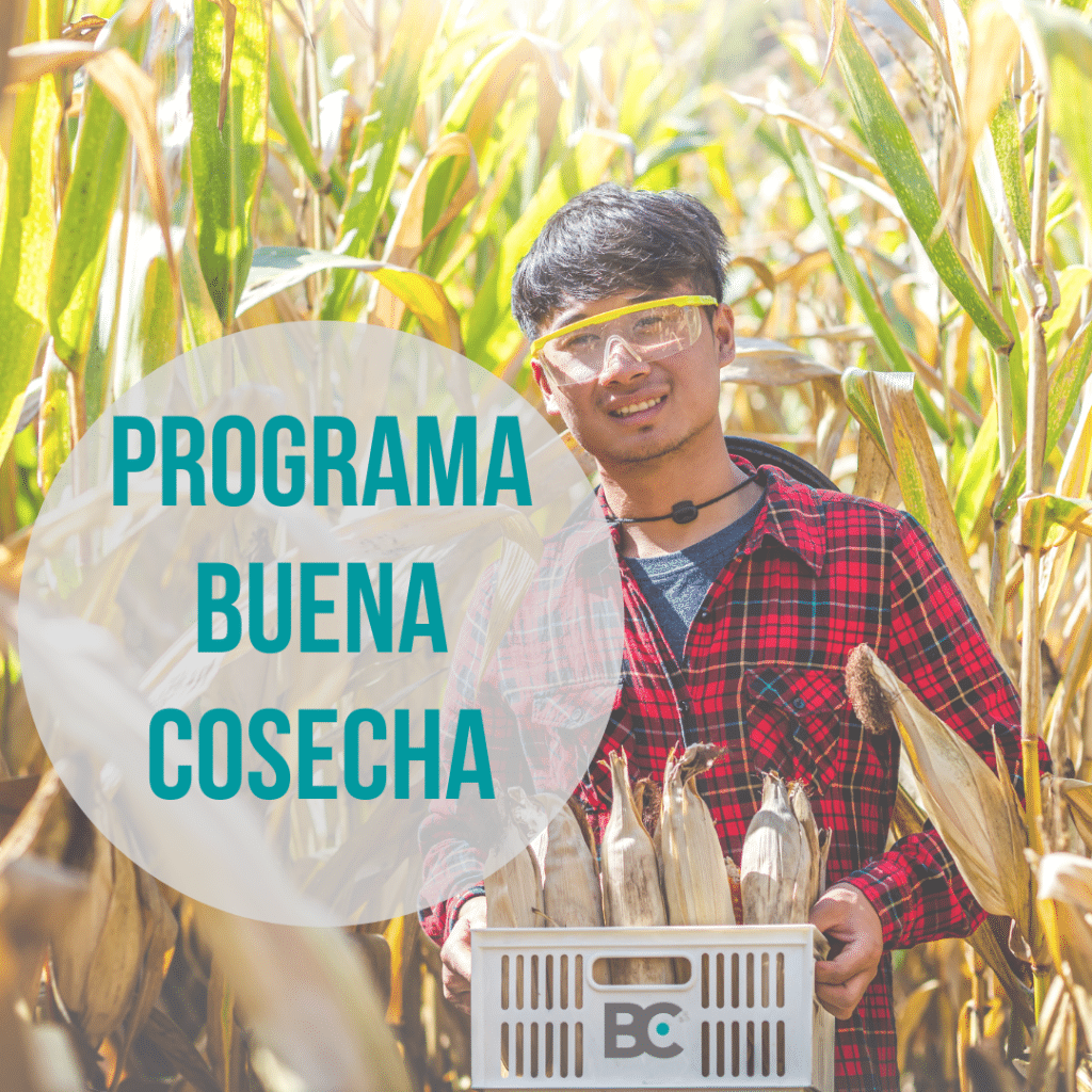 programa buena cosecha