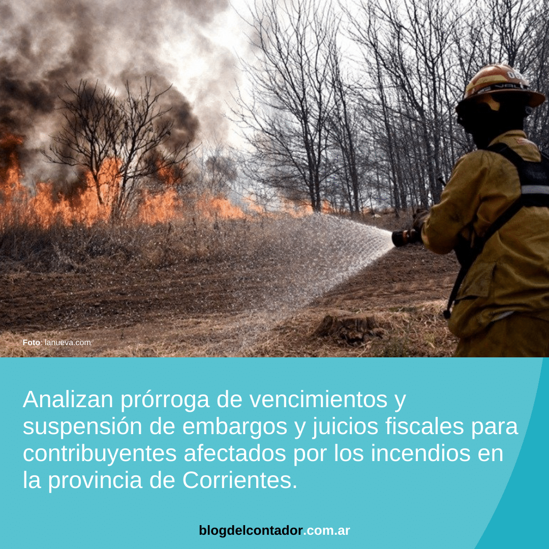 Analizan prórroga de vencimientos y suspensión de embargos y juicios fiscales para contribuyentes afectados por los incendios en la provincia de Corrientes. (1)