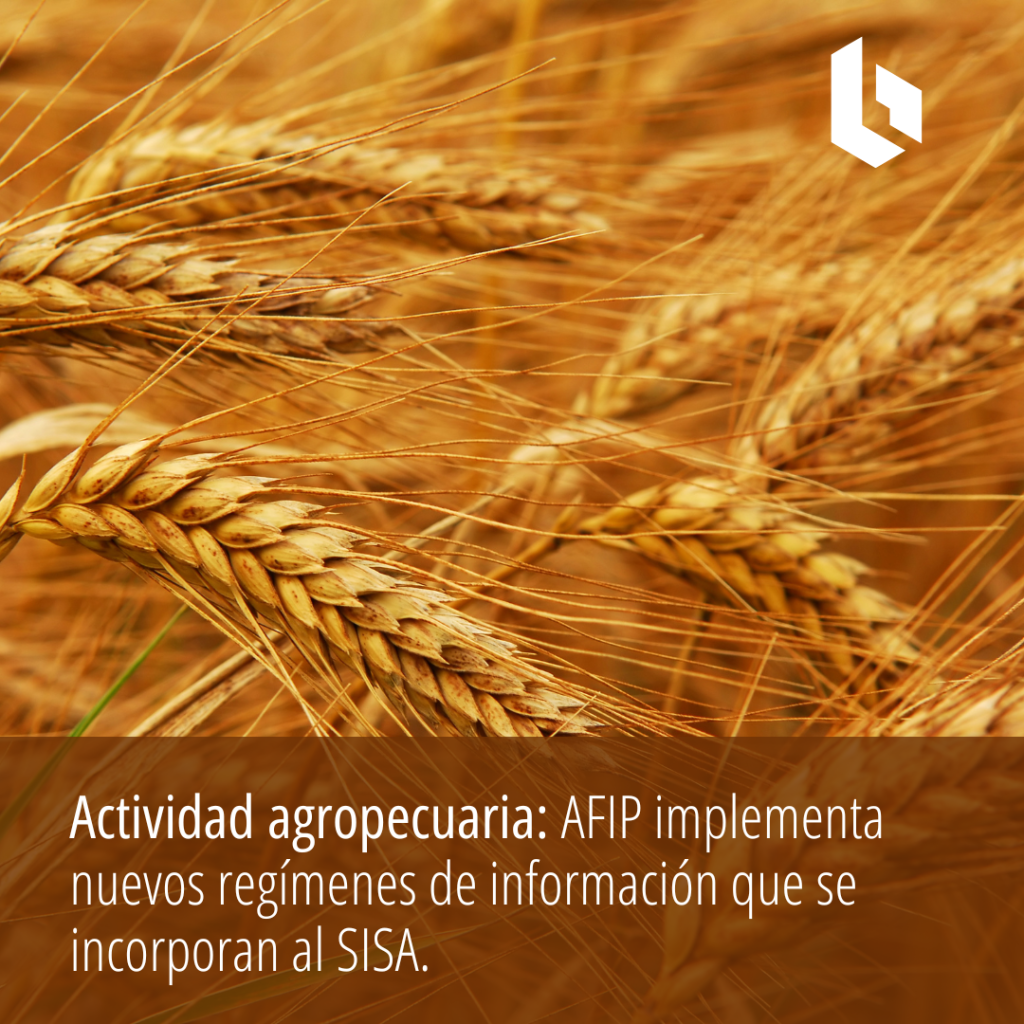 Actividad agropecuaria: AFIP implementa nuevos regímenes de información que se incorporan al SISA.