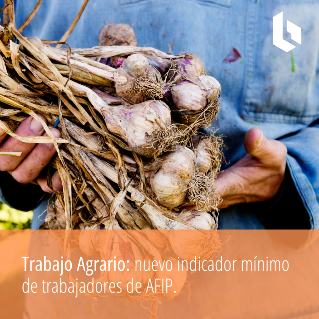 Trabajo Agrario: nuevo indicador mínimo de trabajadores de AFIP.