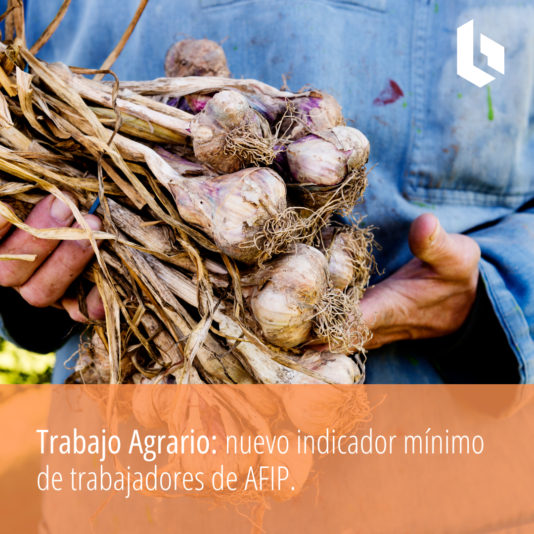 Trabajo Agrario: nuevo indicador mínimo de trabajadores de AFIP.