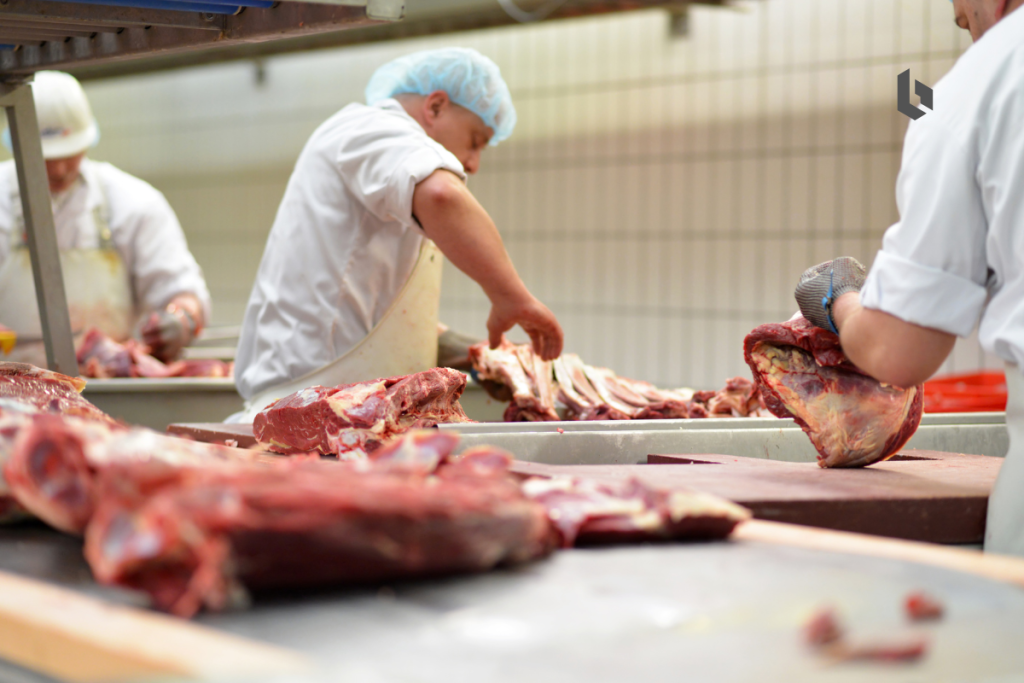 trabajadores de la carne fesitcara