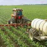 El Gobierno eliminó las restricciones para las exportaciones de productos agrícolas