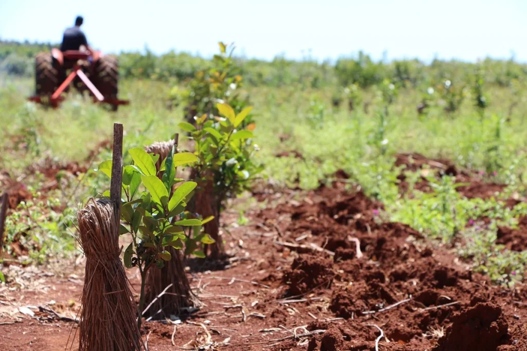 Trabajo Agrario: prestaciones para trabajadores en situación de explotación laboral o por razones socioeconómicas